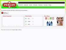 Tablet Screenshot of pekcanmakina.net